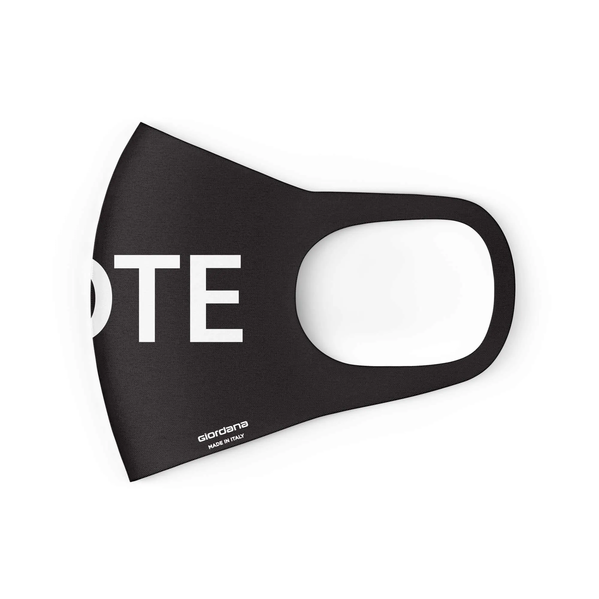Vote Face Mask